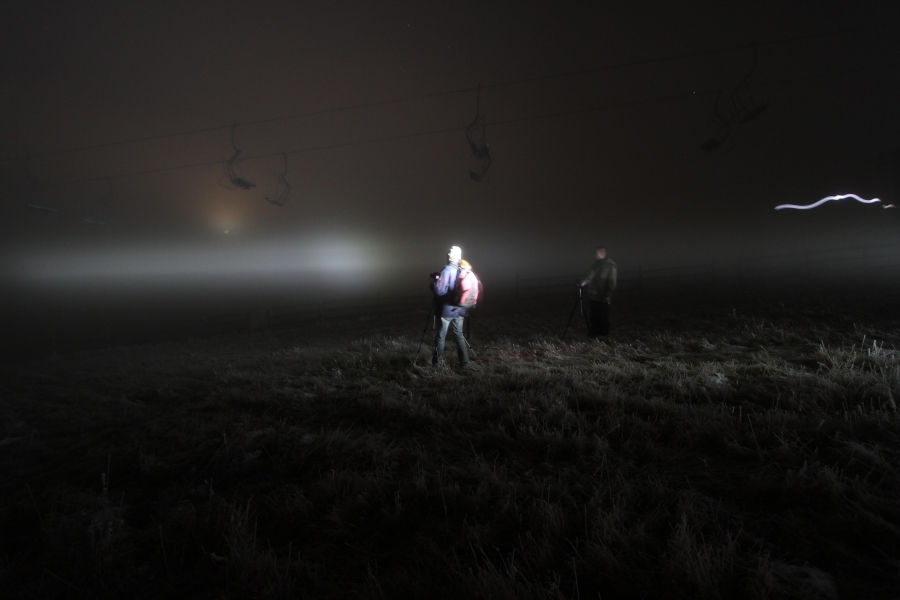 In the Fog In the Fog