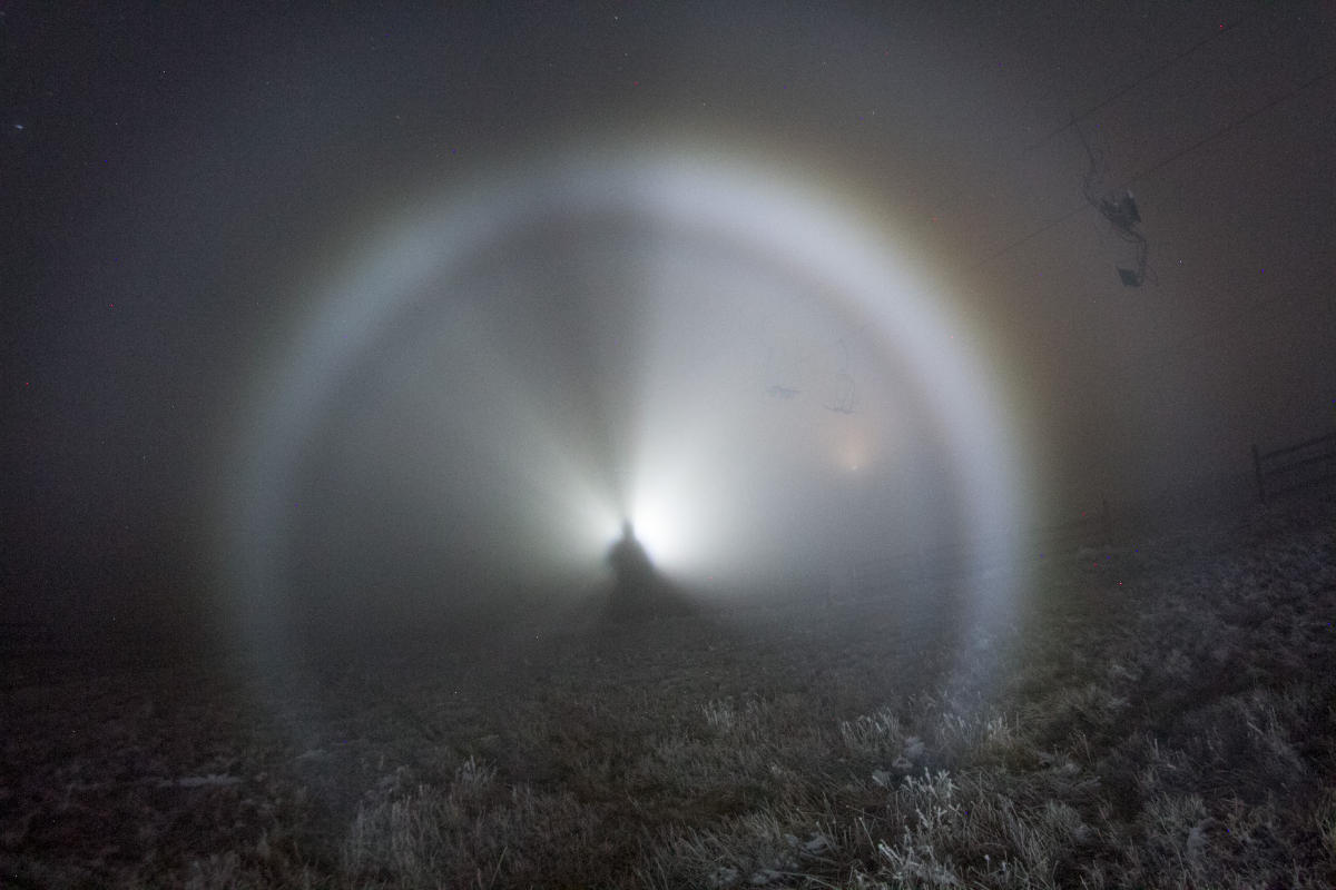 Double Lamp Light Fog Bow Double Lamp Light Fog Bow