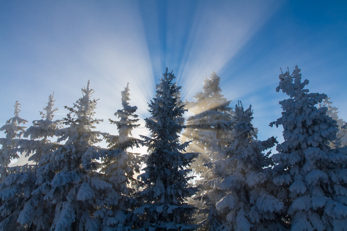 Shadow Rays Shadow Rays