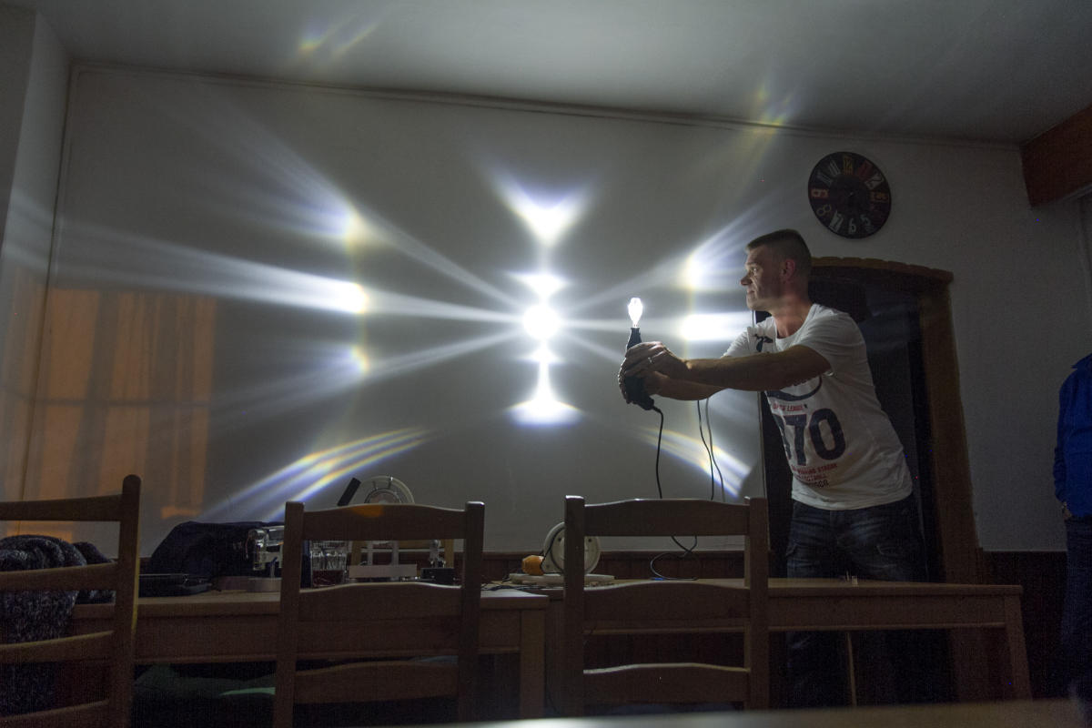 Halomator Halomator