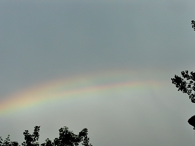 Split Rainbow Split Rainbow
