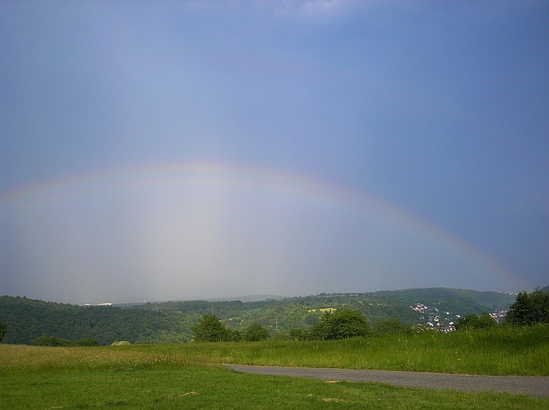 Split Rainbow Split Rainbow