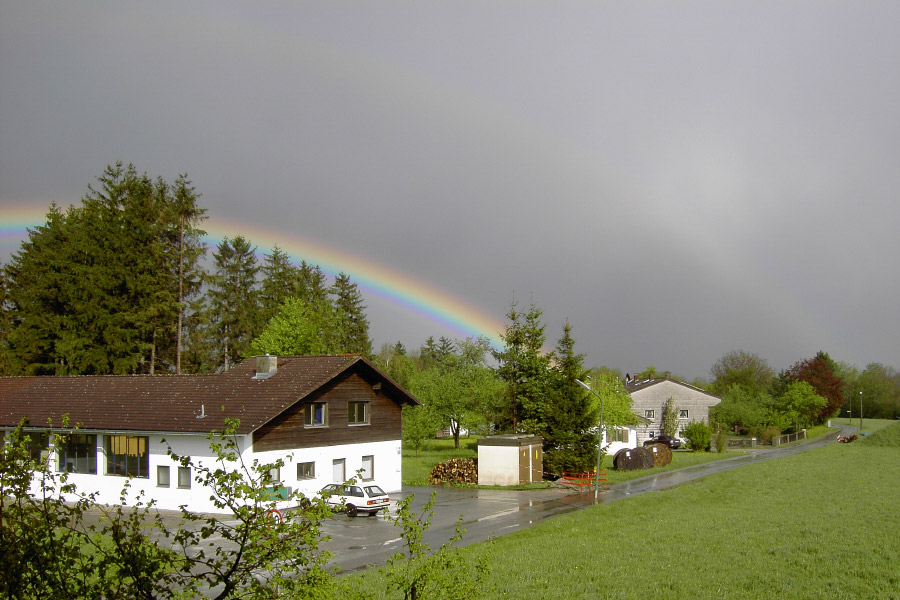Rainbow Rainbow