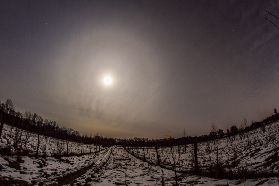 9°-Ring 9°-Ring