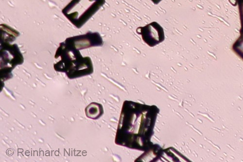 Plate Crystals Plate Crystals