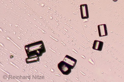 Column Crystals Column Crystals