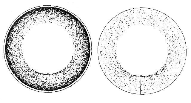 Fig25 Fig25