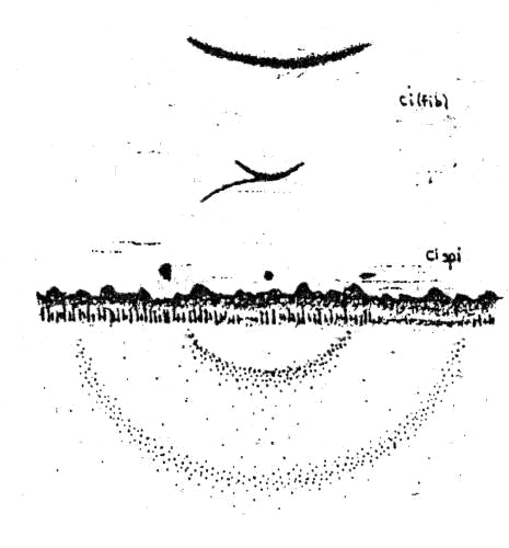 Figure 3 Figure 3