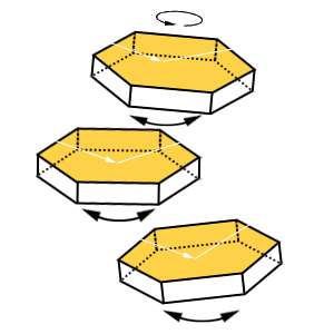 Light Path