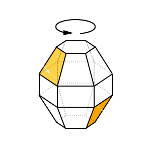 Light Path